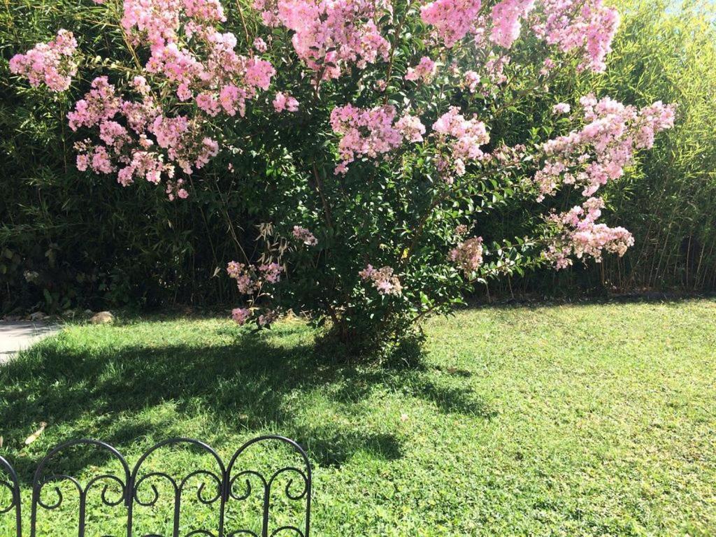 Villa Bolero Saint-Cyr-sur-Loire Esterno foto
